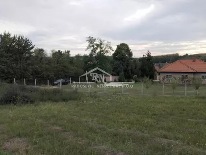 Bore Todorovića | 4zida.rs