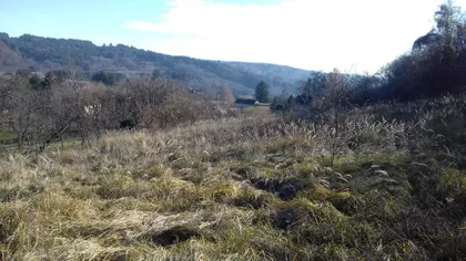 Mikice Lesjaka bb | 4zida.rs