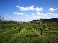 Gradske lokacije, Beočin | 4zida.rs