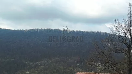 Koraćica | 4zida.rs