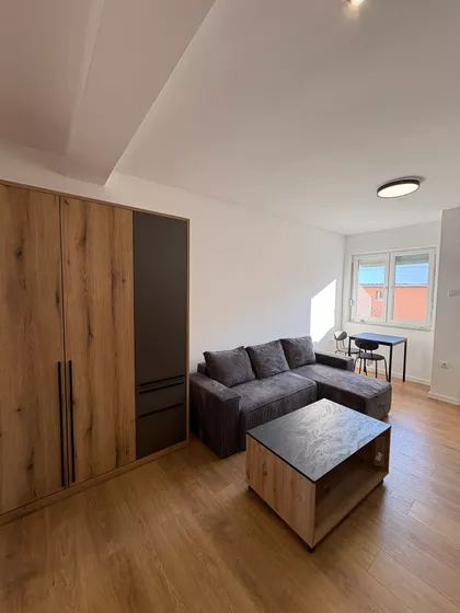 Lajoša Joa 41 | 4zida.rs