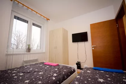 Nemanjina | 4zida.rs