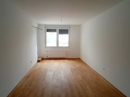 Bulevar Patrijarha Pavla | 4zida.rs