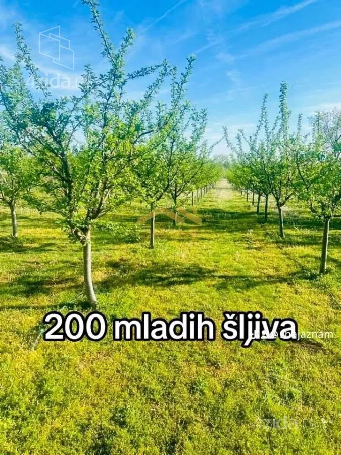 Plac | 4zida