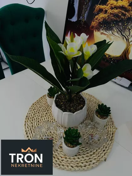 Nemanjina | 4zida.rs