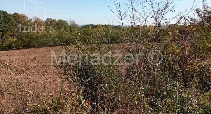 Plac | 4zida