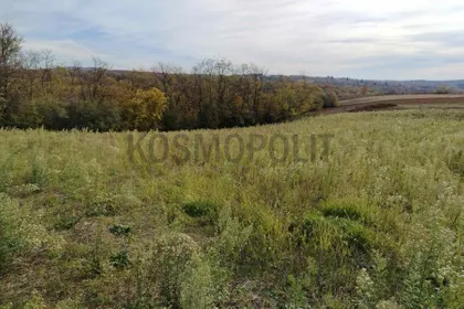 Lazara Jankovića | 4zida.rs