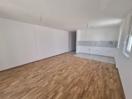 Koste Majinskog | 4zida.rs