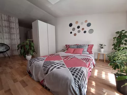 Petefi Šandora | 4zida.rs