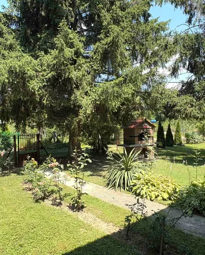 Crna Bara | 4zida.rs