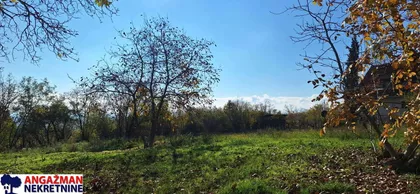 Petkajska | 4zida.rs