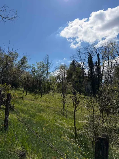 Radovašnica | 4zida.rs