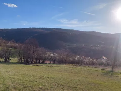 Bore Markovića | 4zida.rs