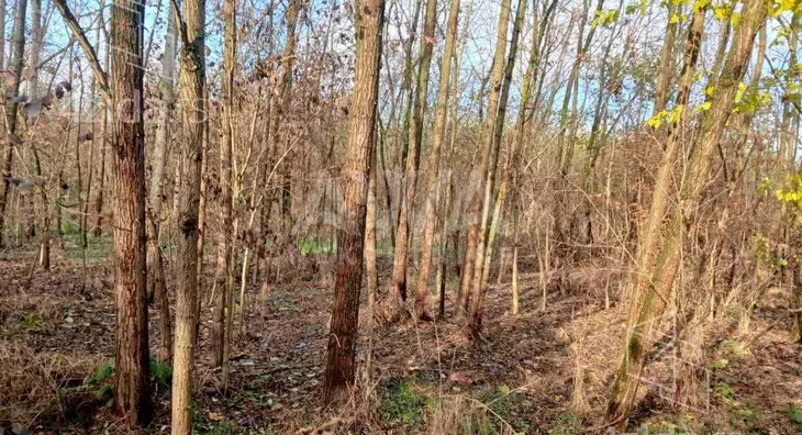 Poljoprivredno zemljište | 4zida