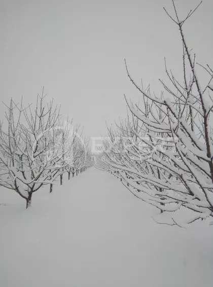 Merošina | 4zida.rs