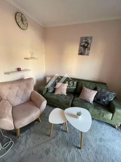 Vase Pelagića | 4zida.rs