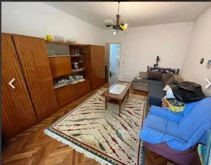 Petra Drapšina | 4zida.rs