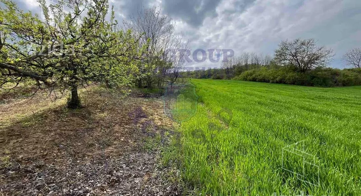 Poljoprivredno zemljište | 4zida