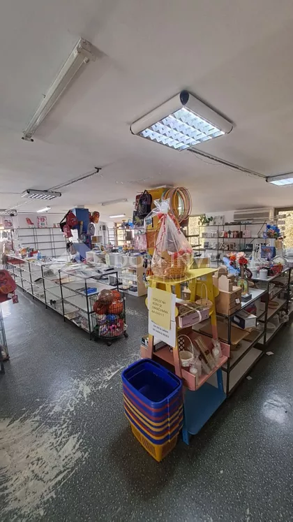 Salvadora Aljendea | 4zida.rs