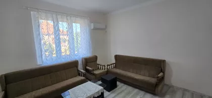 Pačir | 4zida.rs