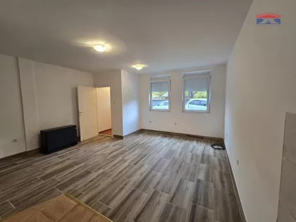 Rotkvarija | 4zida.rs