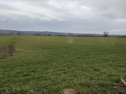 Vojvode Mišića | 4zida.rs