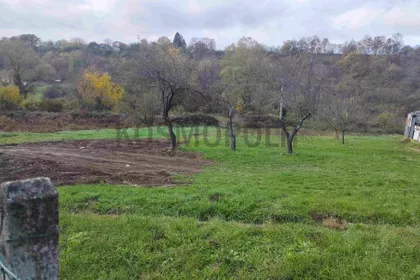 Miodraga Vukovića | 4zida.rs