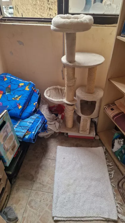 Braće Ribnikar | 4zida.rs