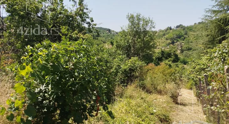 Plac | 4zida