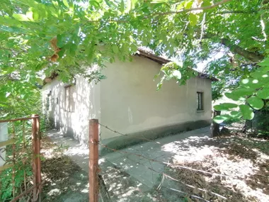Palić