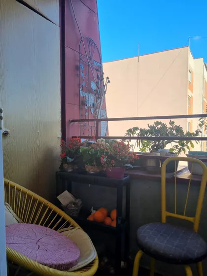 Stevana Milovanova | 4zida.rs