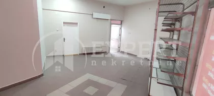 Đuke Dinić | 4zida.rs