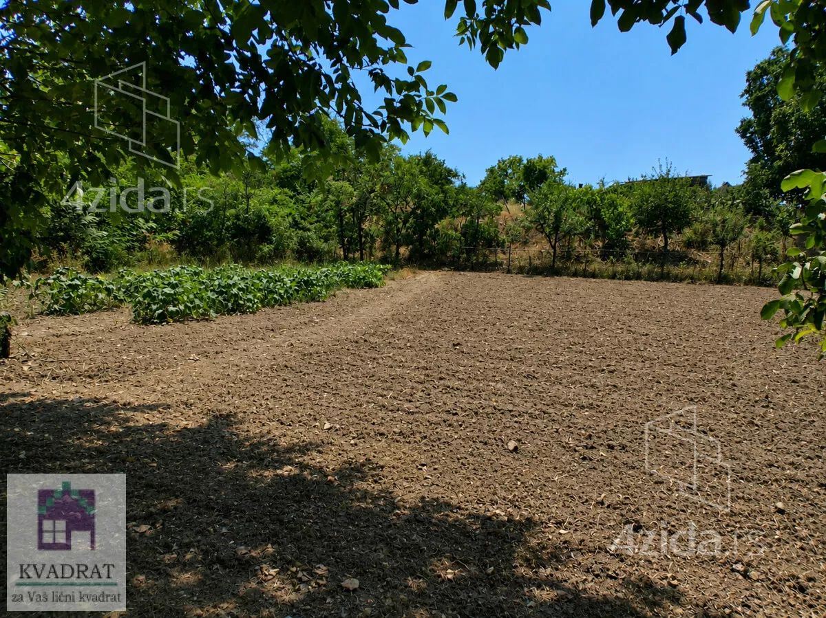 Plac | 4zida