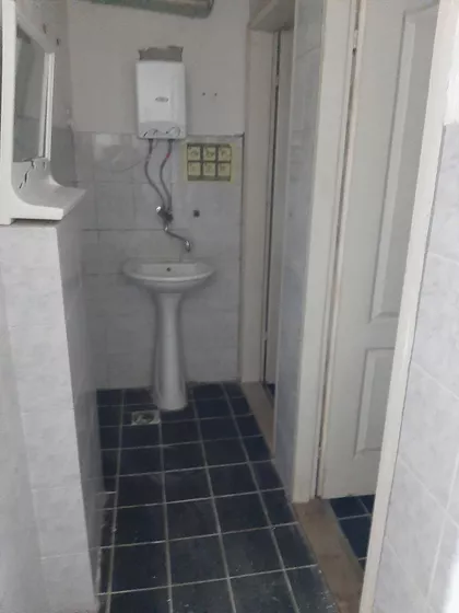 Cara Dušana | 4zida.rs