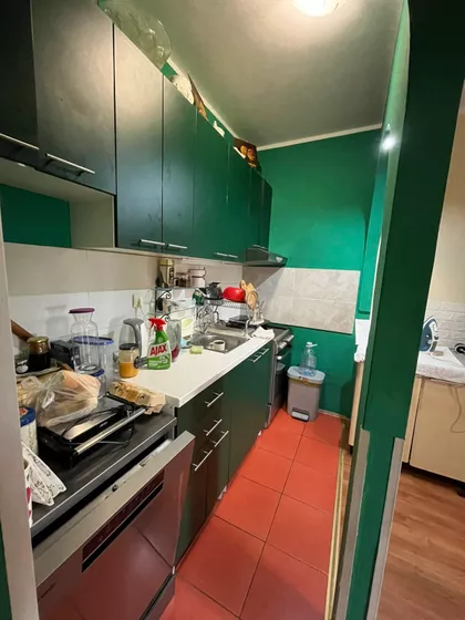 Južni Telep | 4zida.rs