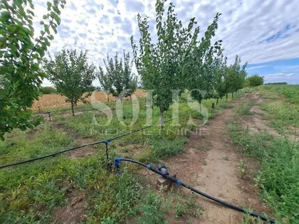 Branka Radičevića | 4zida.rs