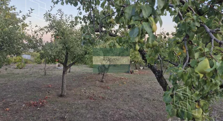 Poljoprivredno zemljište | 4zida