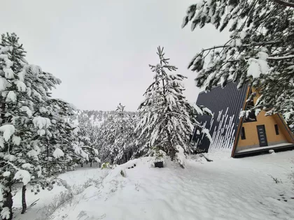 Zaselak Tavanac | 4zida.rs