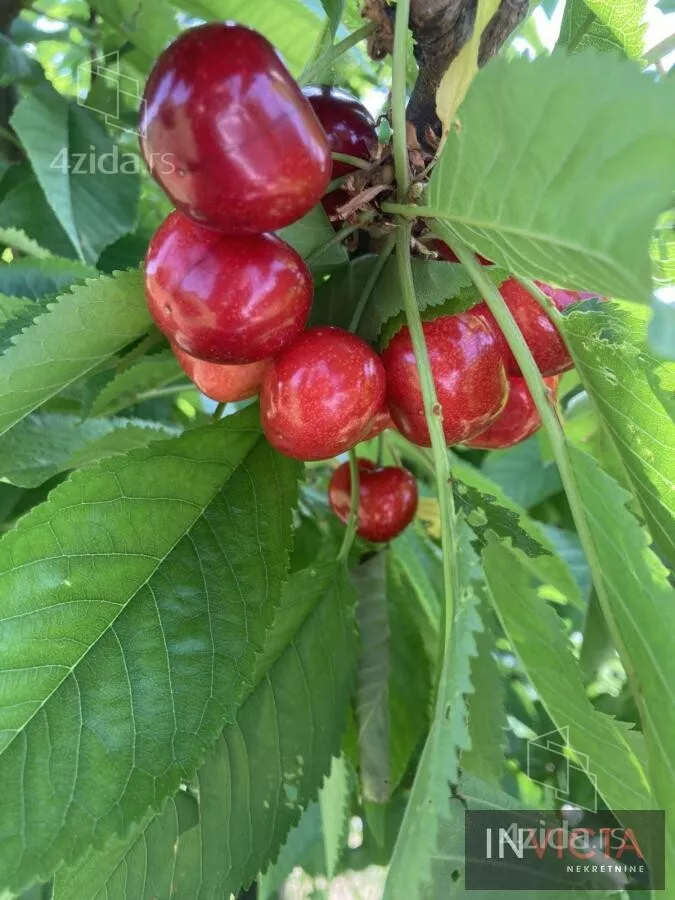 Poljoprivredno zemljište | 4zida