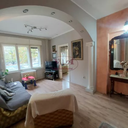 Novi Sad - Centar | 4zida.rs