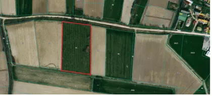 Janka Veselinovića | 4zida.rs