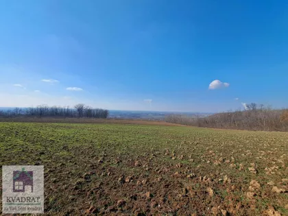 Mislođin | 4zida.rs