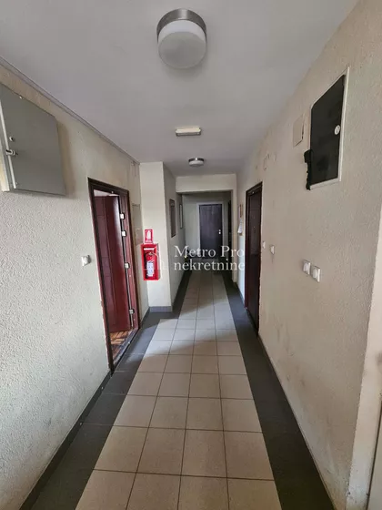 Zore Drempetić | 4zida.rs