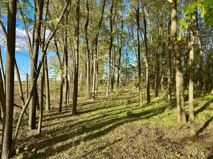 Jelene Anžujske | 4zida.rs