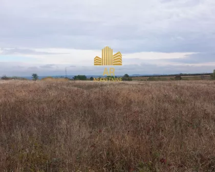 Gorovič  | 4zida.rs