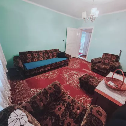 Carice Jelene | 4zida.rs