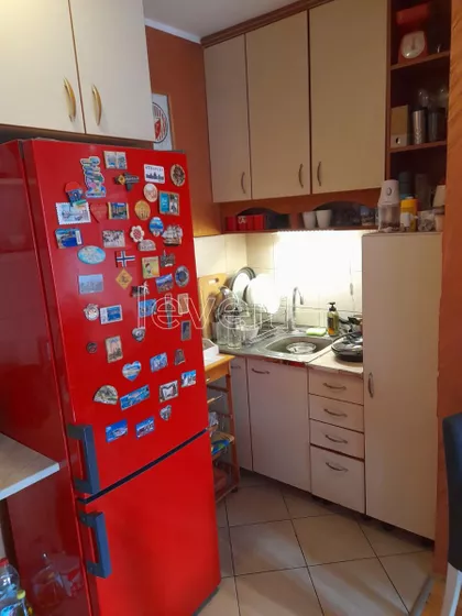 Nova Detelinara | 4zida.rs