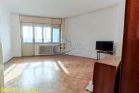 Beograd, Palilula opština, Bogoslovija | 4zida.rs | 4zida.rs