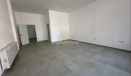 Salajka | 4zida.rs