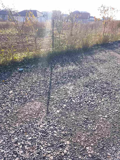 Braće Putniković | 4zida.rs